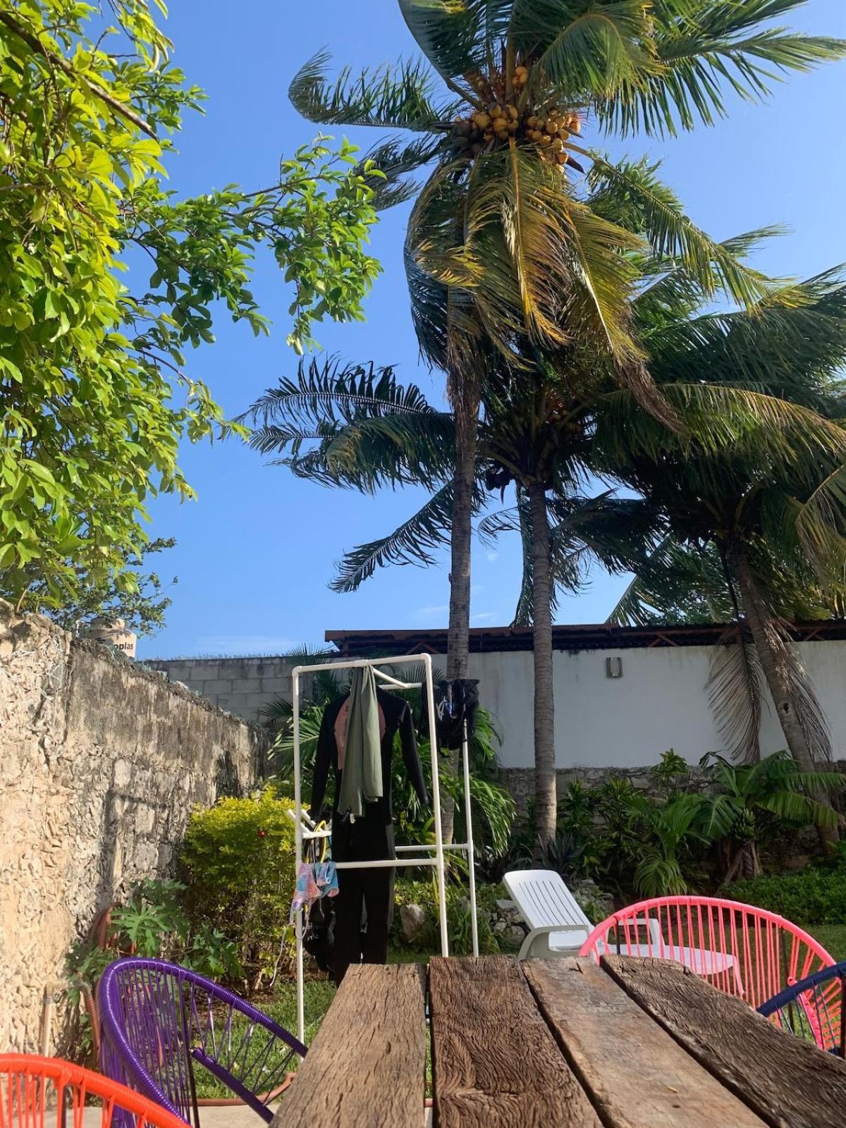 Coco Cozy Apartment Centric And Private Cozumel Ngoại thất bức ảnh